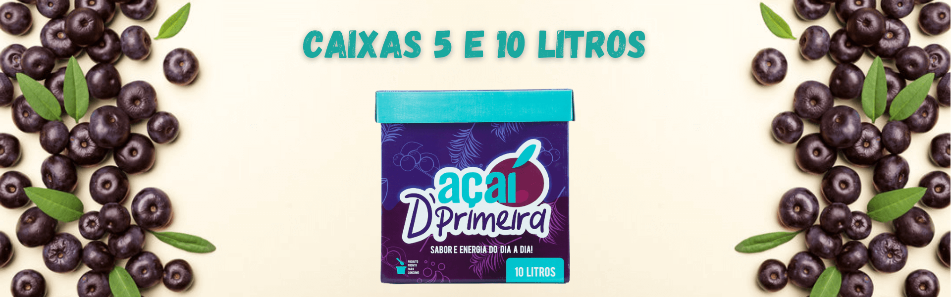 acai-de-caixa-banner